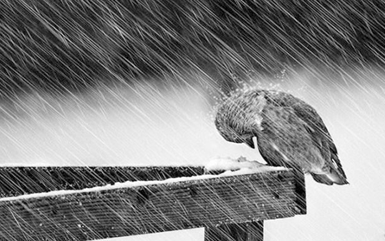 資本寒冬 資本寒冬