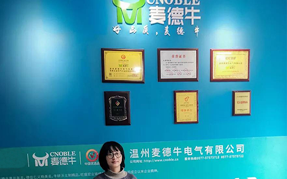 溫州麥德牛電氣有限公司