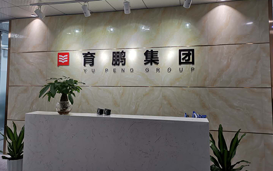 深圳市育鵬教育