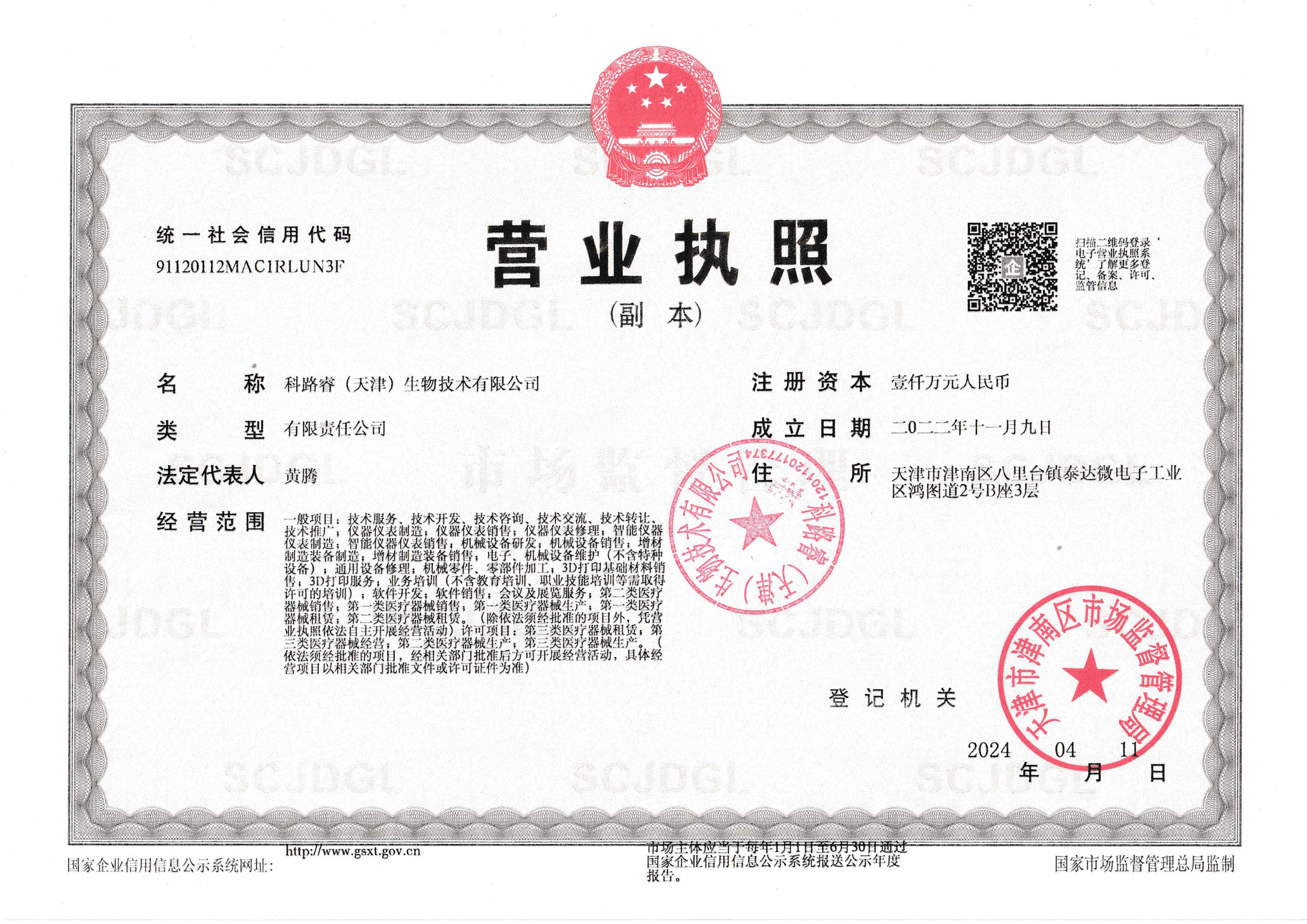 背美姿