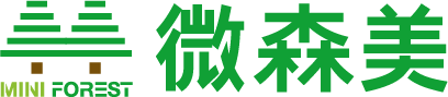 微森美