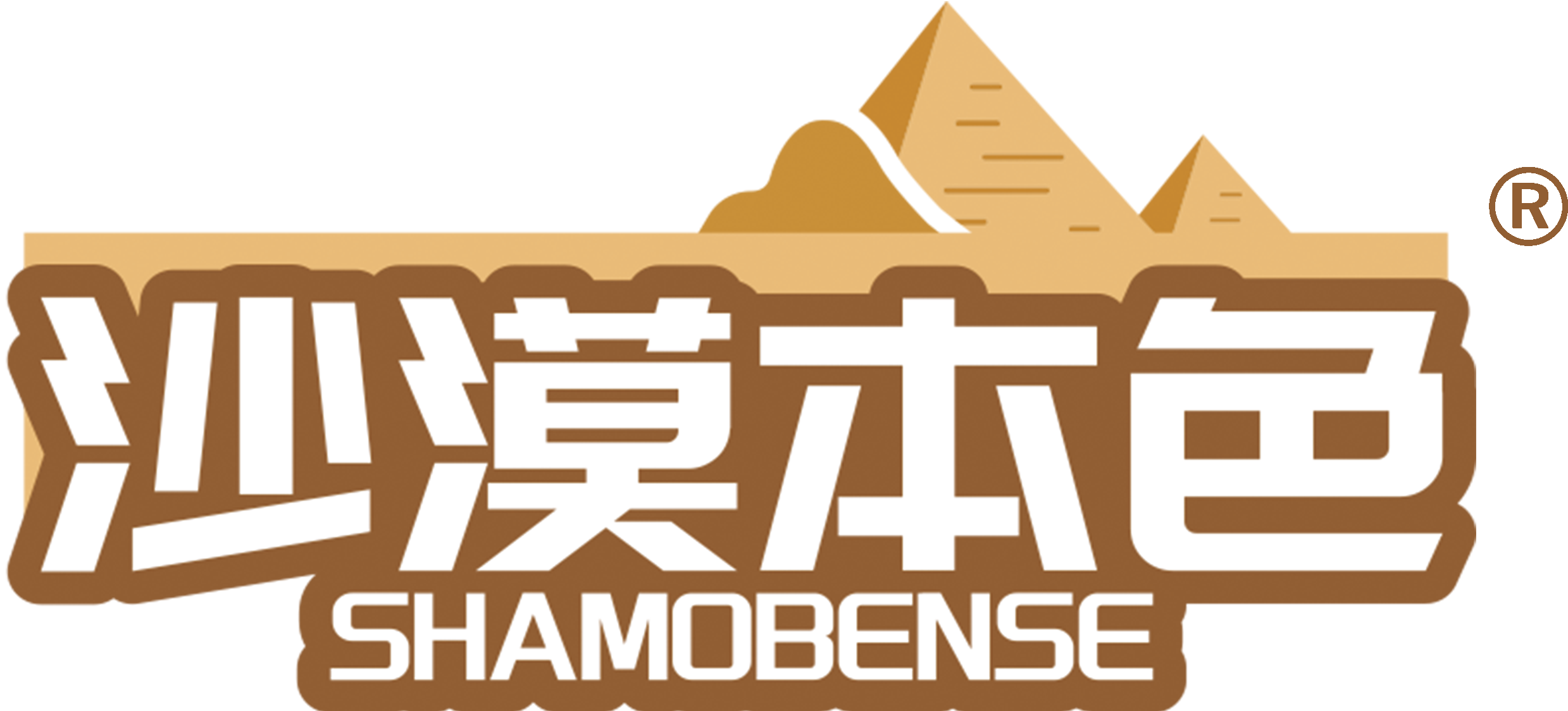 沙漠本色