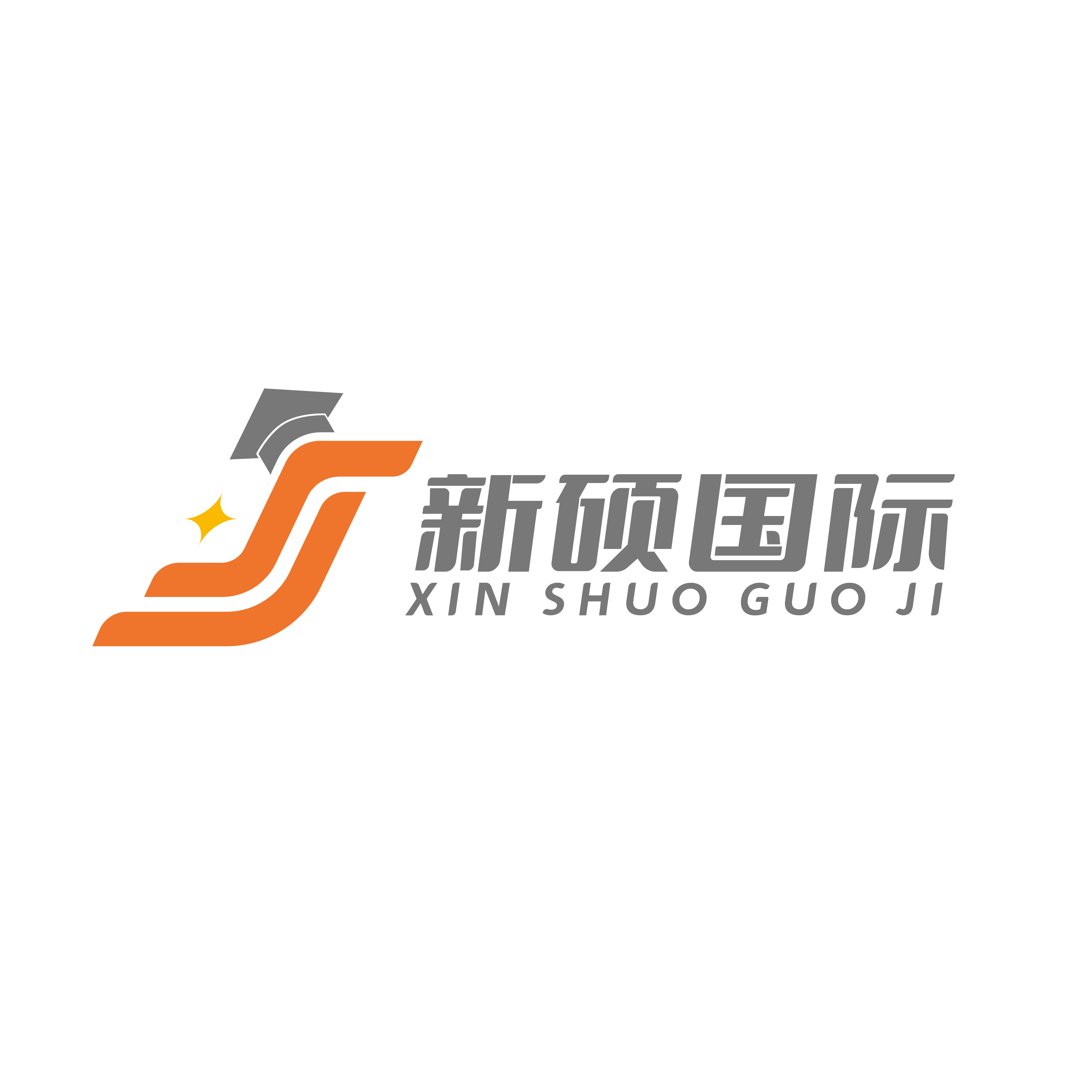 新碩國際