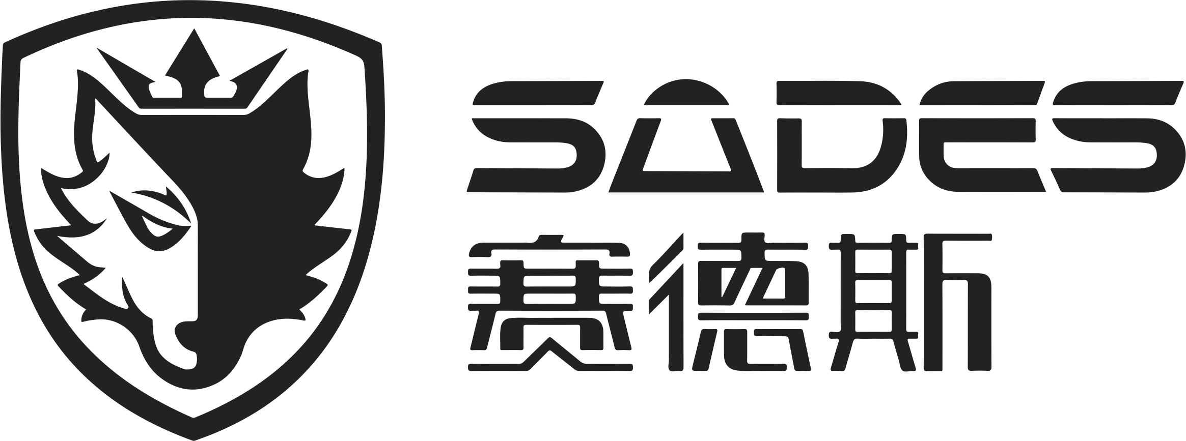 赛德斯