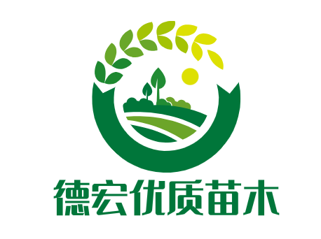 绿兴苗圃