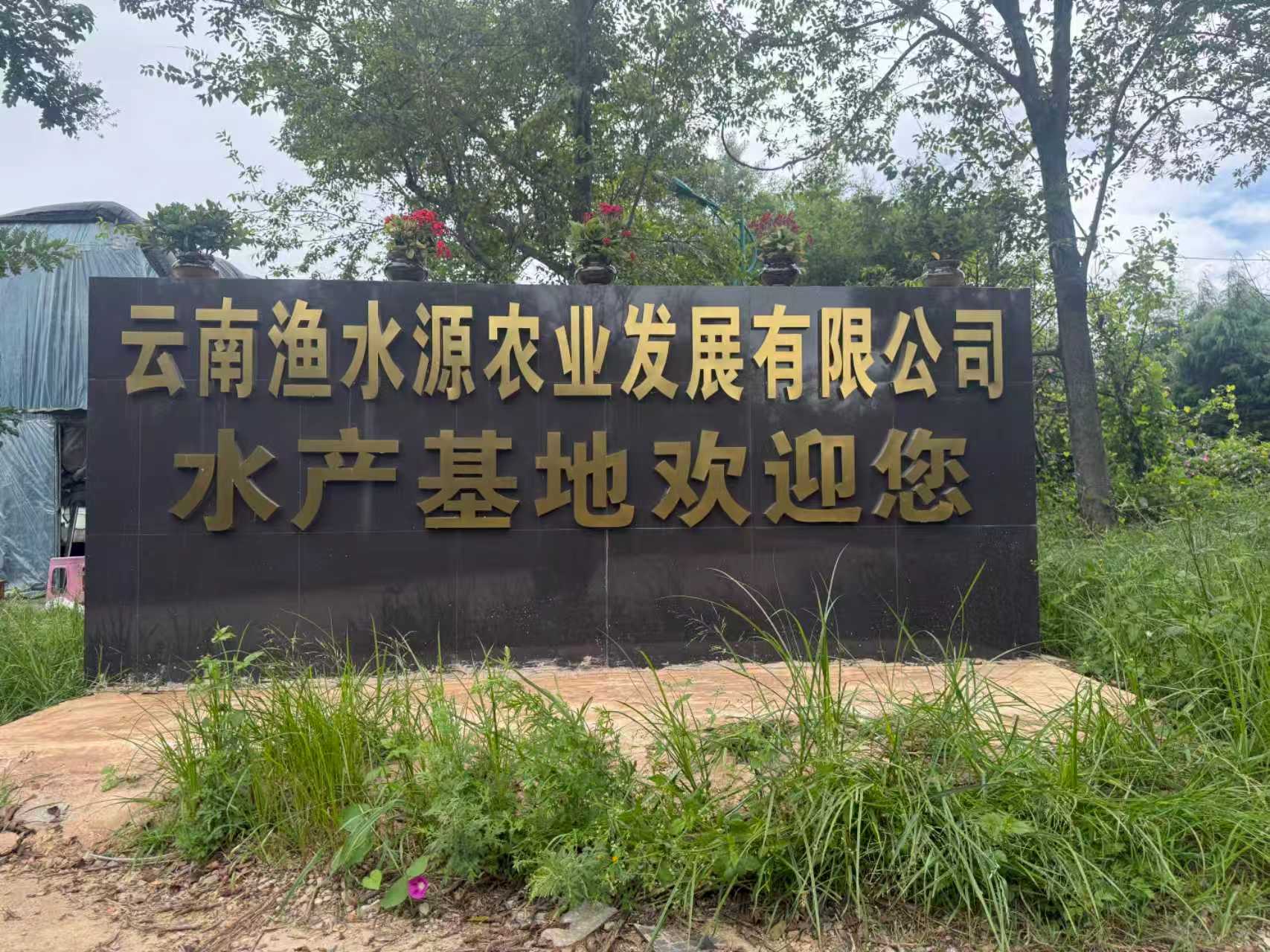 1761726551771.jpg 1761726551771.jpg