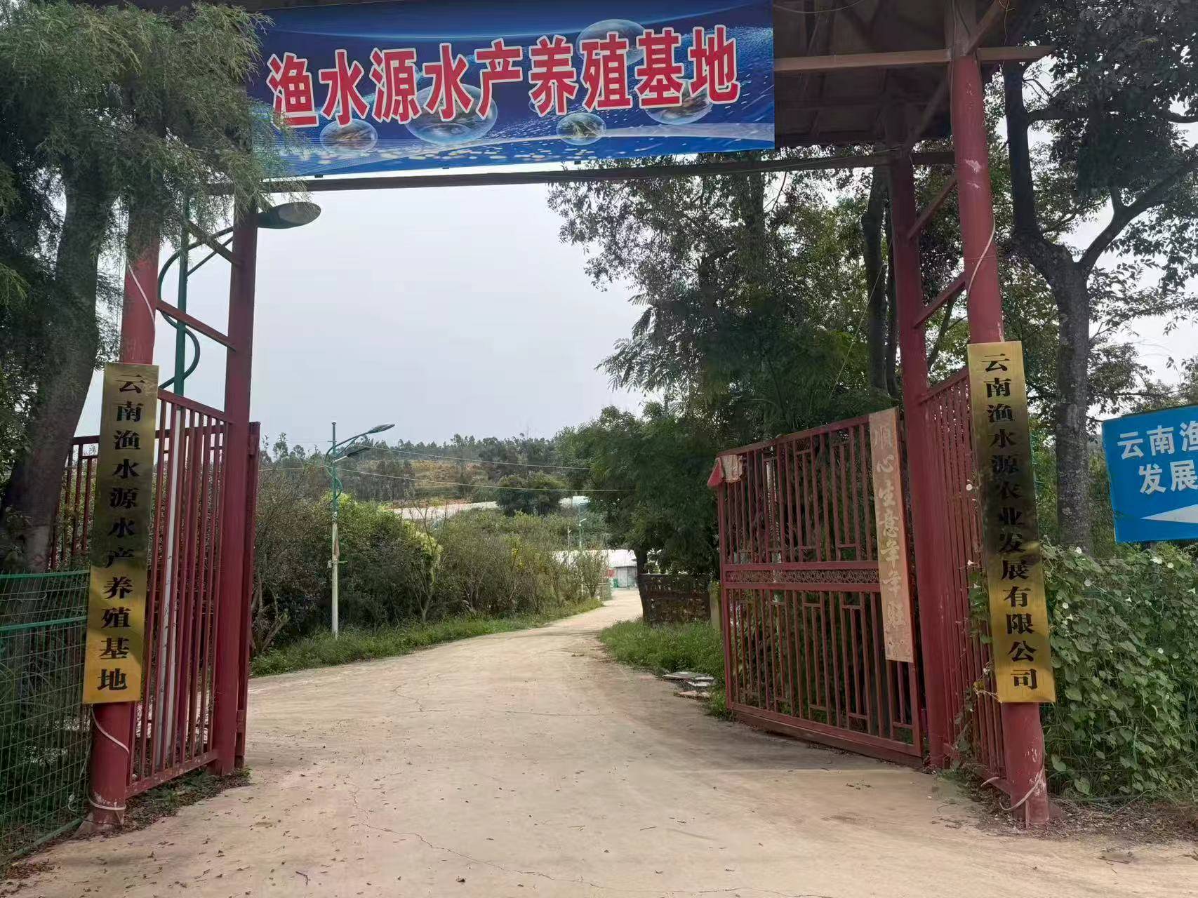 1761726622178.jpg 1761726622178.jpg