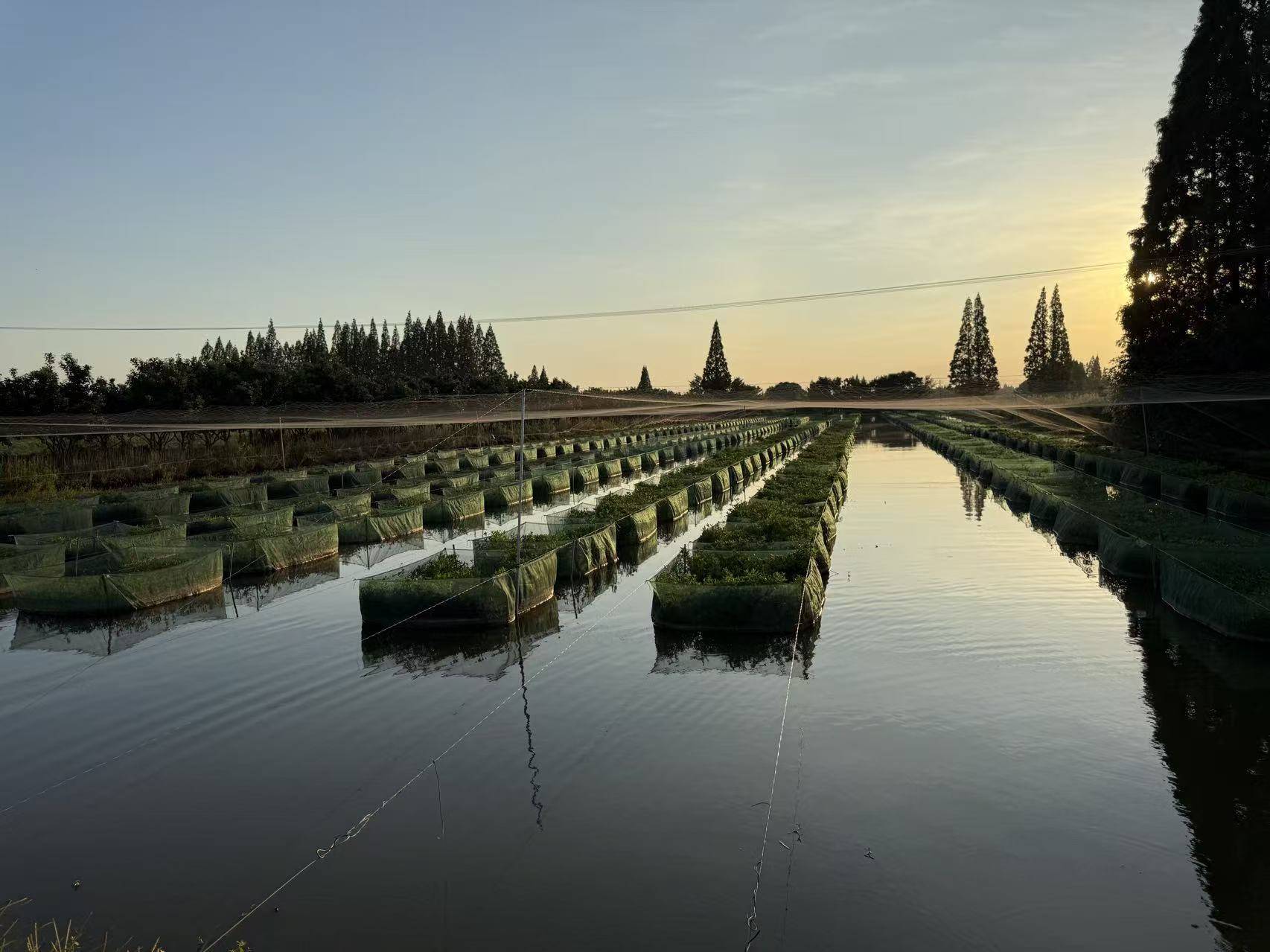 1761726668954.jpg 1761726668954.jpg