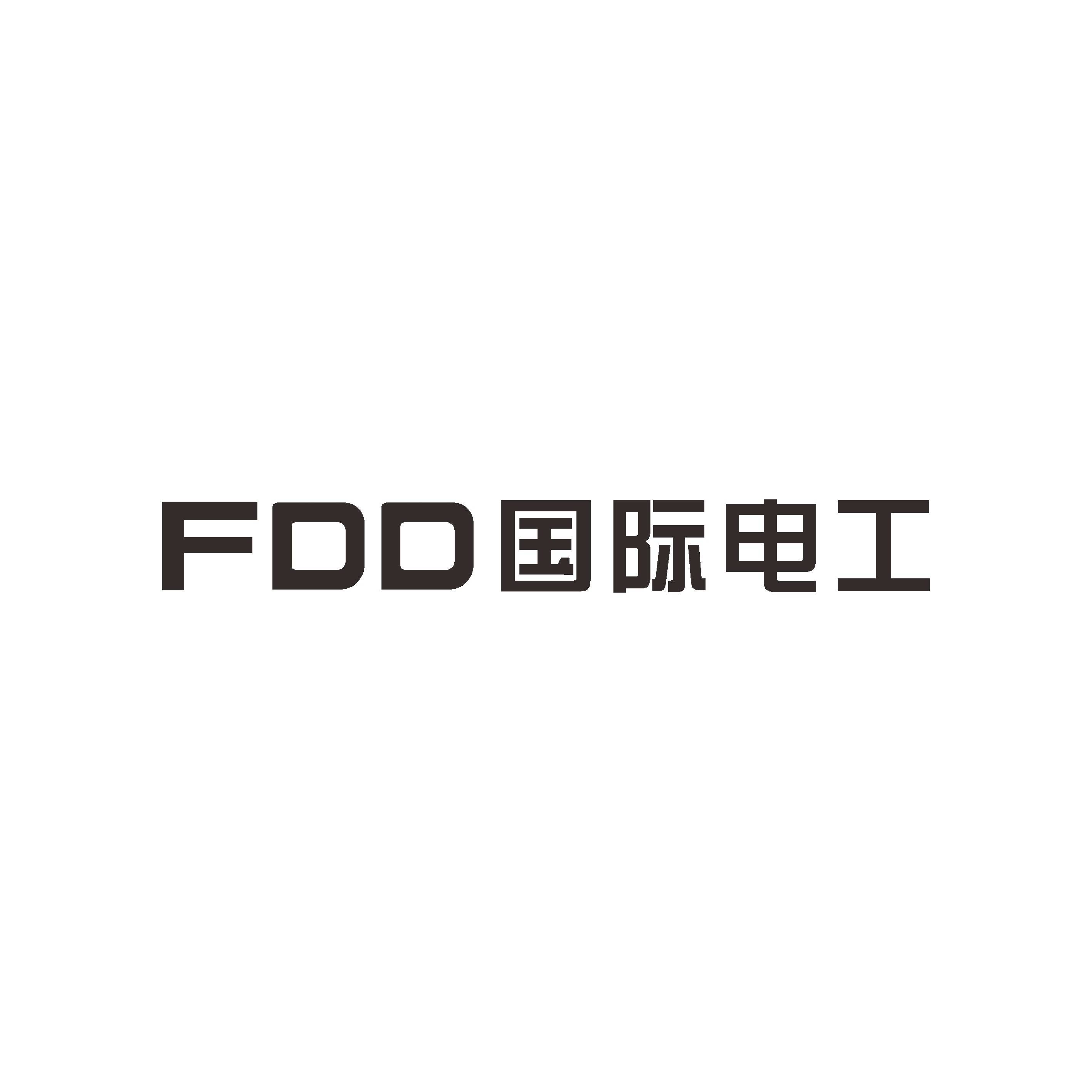 FDD国际电工