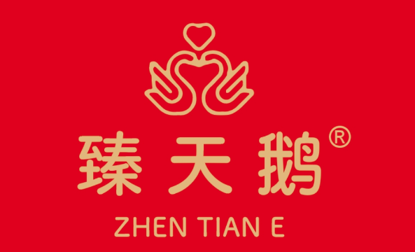 臻天鹅