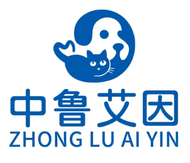 中鲁艾因