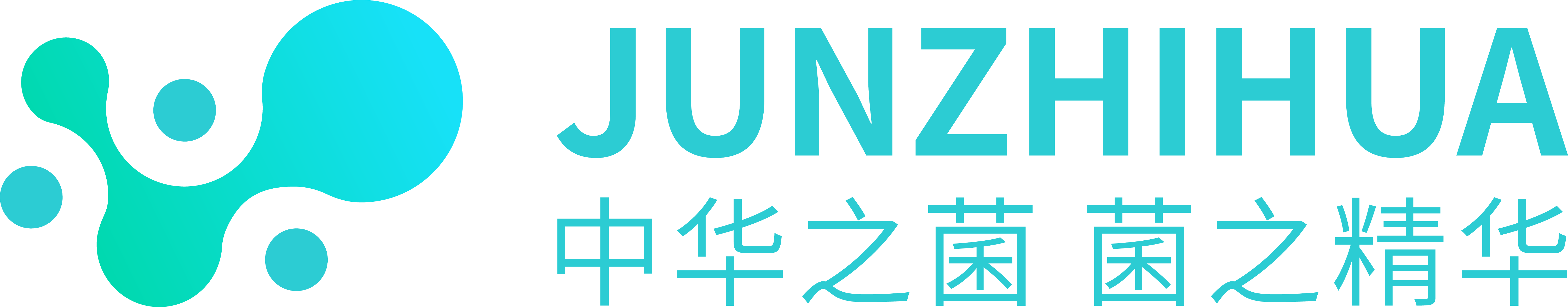 菌之华