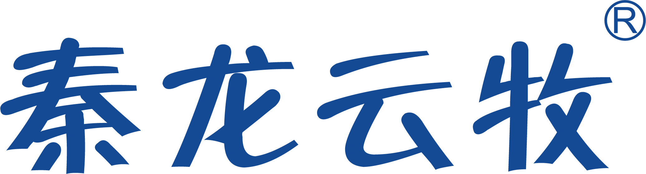 秦龙云牧