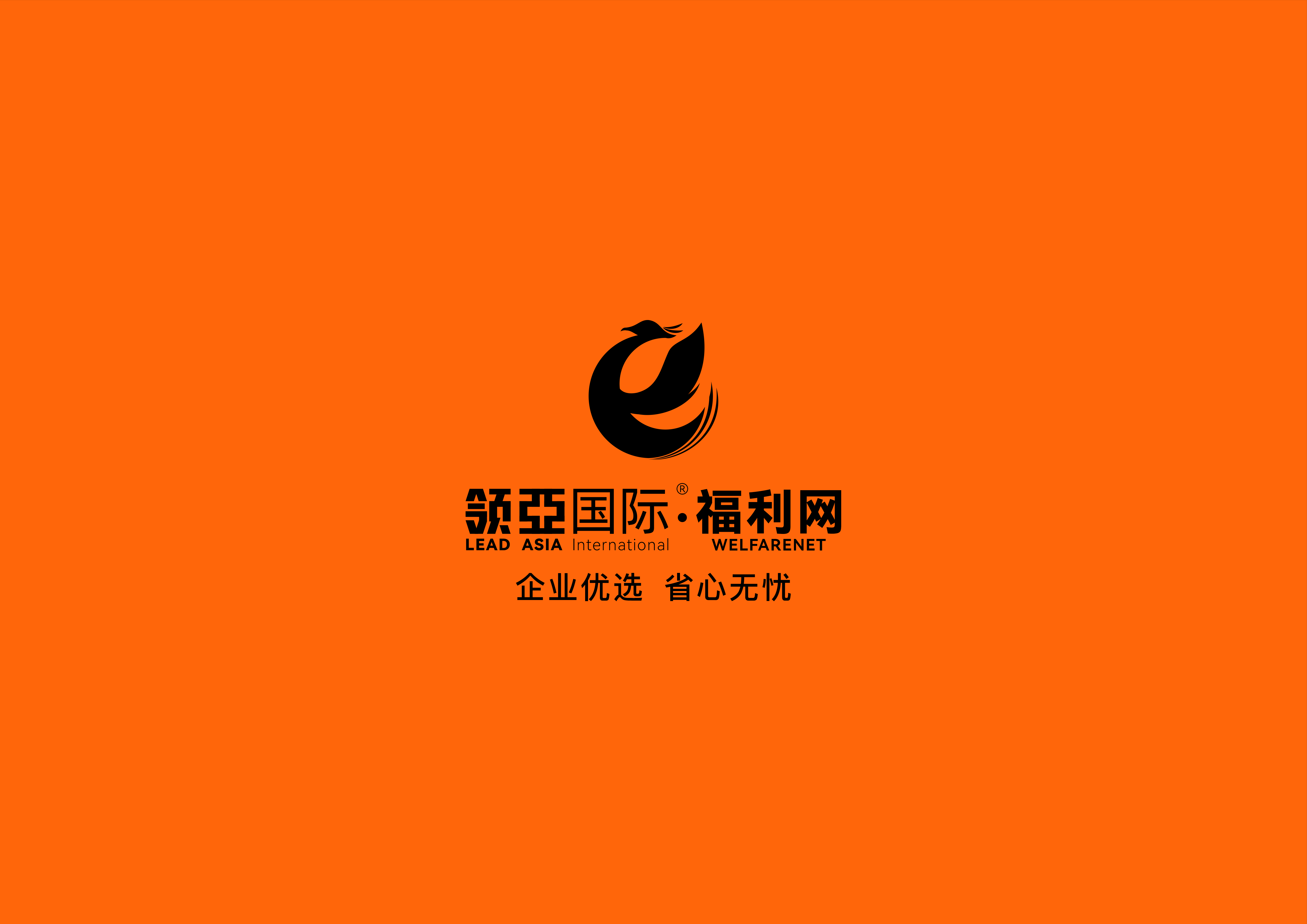 领亚国际