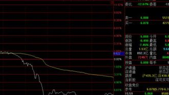 受非洲猪瘟疫情影响双汇闪崩跌停   中欧、嘉实均受影响